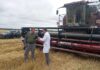 Здоровье на вес урожая