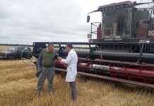 Здоровье на вес урожая