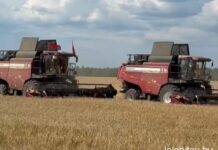 Видео. Лельчицкий район в ритме уборочной страды