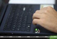 В Гомельской области активизировались мошенники, маскирующиеся под продавцов сезонных товаров