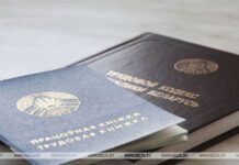 Распределение от а до я — какие нюансы надо знать будущим молодым специалистам