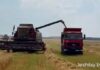 Жара не помеха уборочной кампании