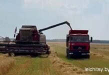Жара не помеха уборочной кампании
