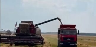 Жара не помеха уборочной кампании