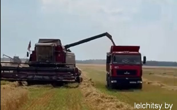 Жара не помеха уборочной кампании