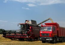 Жара не помеха уборочной кампании