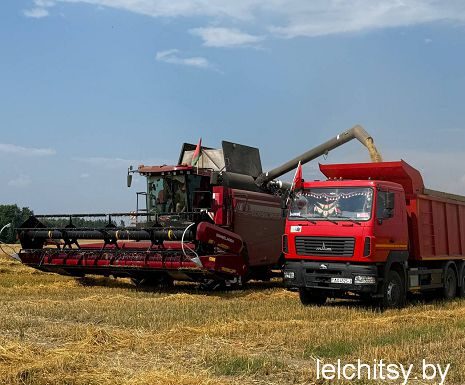 Жара не помеха уборочной кампании