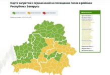В 19 районах Гомельской области введены ограничения на посещение лесов