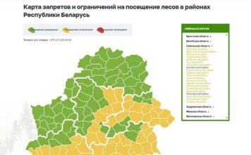 В 19 районах Гомельской области введены ограничения на посещение лесов