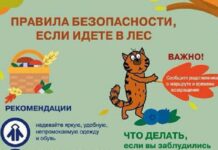 Лесной компас от МЧС