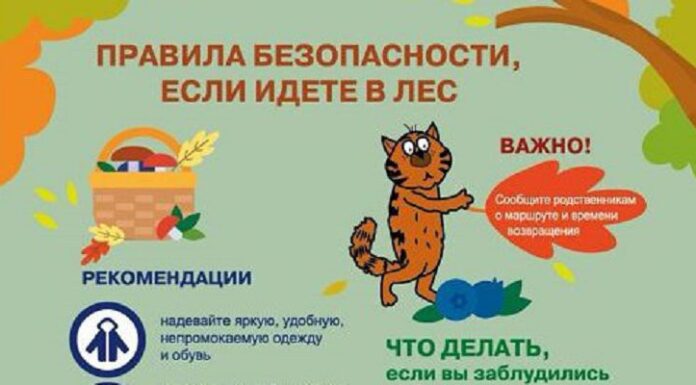 Лесной компас от МЧС