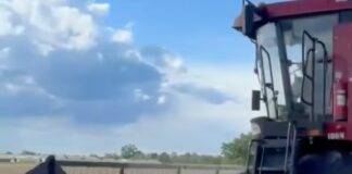 Видео. Уборочная страда на полях ОАО «Звезда Полесья»