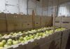 В Гомельской области пресечена незаконная схема по закупке сельхозпродукции у населения. Возбуждено 5 уголовных дел