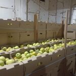 В Гомельской области пресечена незаконная схема по закупке сельхозпродукции у населения. Возбуждено 5 уголовных дел