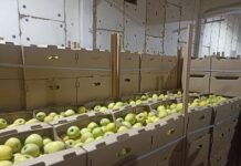 В Гомельской области пресечена незаконная схема по закупке сельхозпродукции у населения. Возбуждено 5 уголовных дел