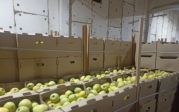 В Гомельской области пресечена незаконная схема по закупке сельхозпродукции у населения. Возбуждено 5 уголовных дел