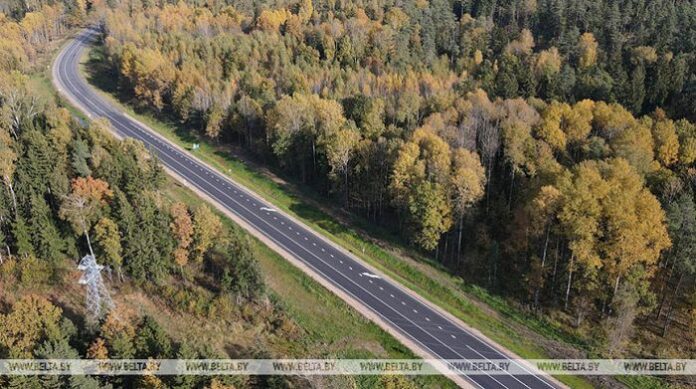 дорога осень