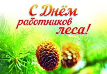 20 сентября — День работников леса. Поздравление от руководства района