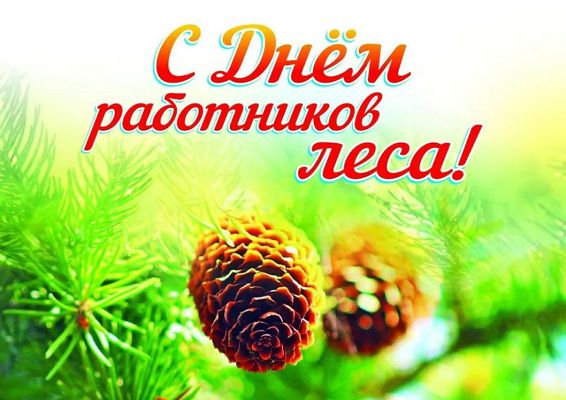 День работников леса