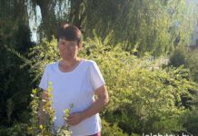 Скромная, энергичная, ответственная, трудоспособная… Все в одной женщине