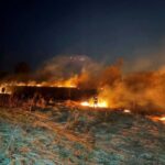 С начала года в области зафиксировано 824 возгорания в природных экосистемах