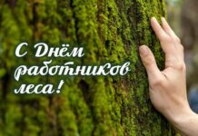 Поздравление работников и ветеранов лесного хозяйства с профессиональным праздником