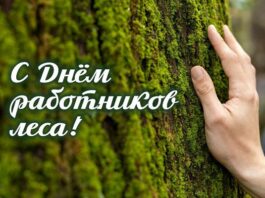 Поздравление работников и ветеранов лесного хозяйства с профессиональным праздником