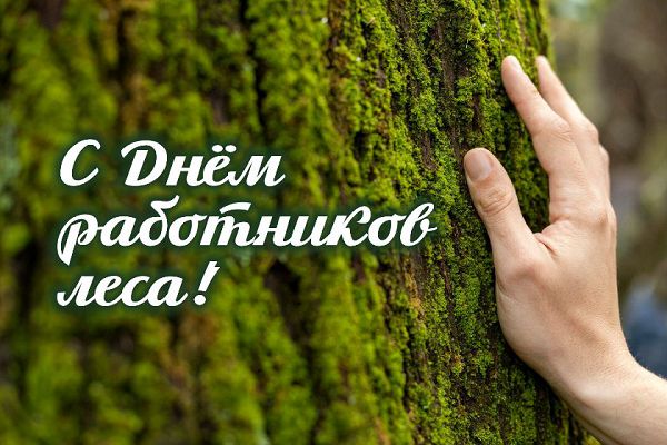 день работников леса
