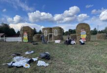 Осень — пора золотых красок и теплых итогов