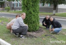 Руки делом, сердце — с родным краем