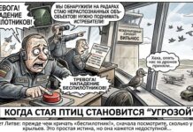 Когда стая птиц становится угрозой