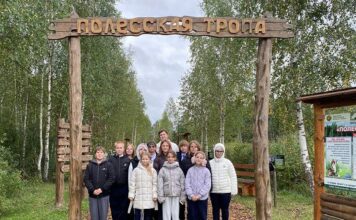 По следам природы