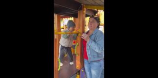 Лето — это маленькая жизнь