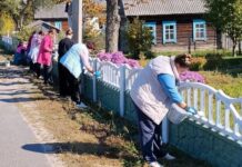 Порядок — общее дело